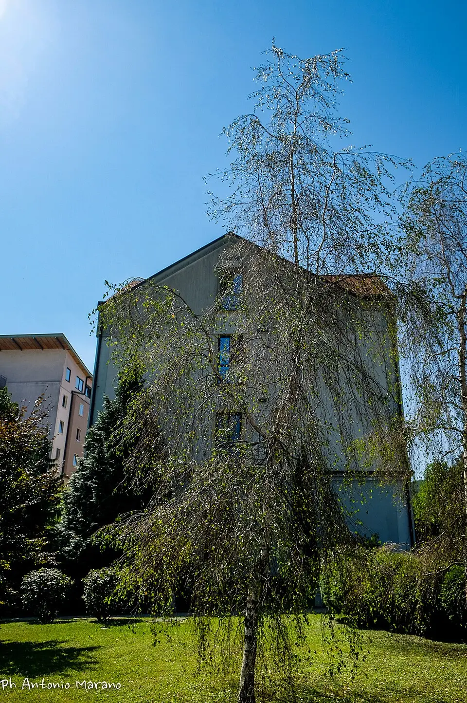 Exterior de Hotel Thermana Park Laško, distinto de Spa Hotel Laško